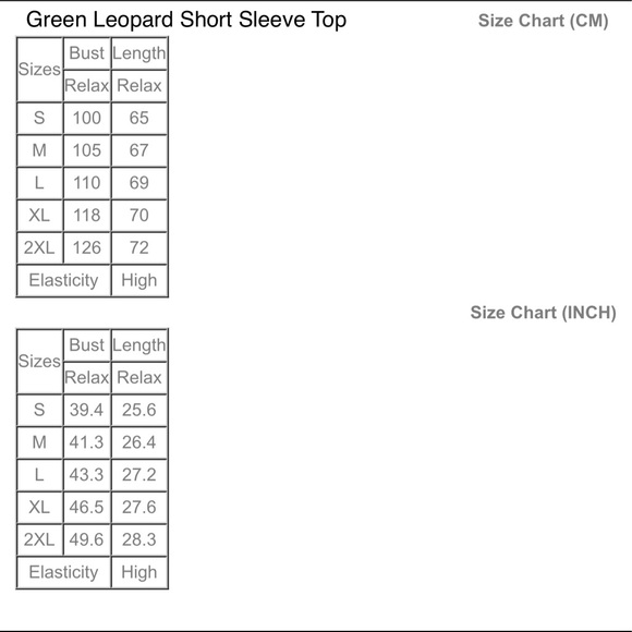 1 Left! Light Green Leopard Top w/V-Neck Lace! - Picture 3 of 4